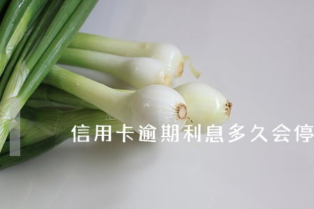 信用卡逾期利息多久会停 信用卡逾期利息多久会停