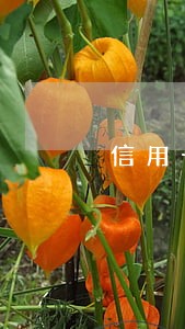 信用卡逾期利息多少计费