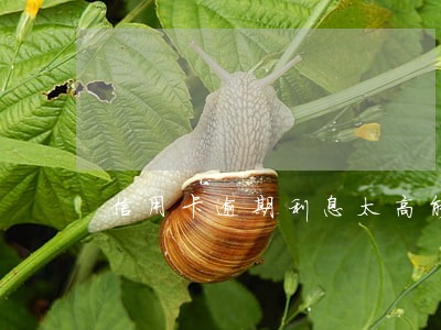 信用卡逾期利息太高能只还本金 信用卡逾期利息太高能只还本金