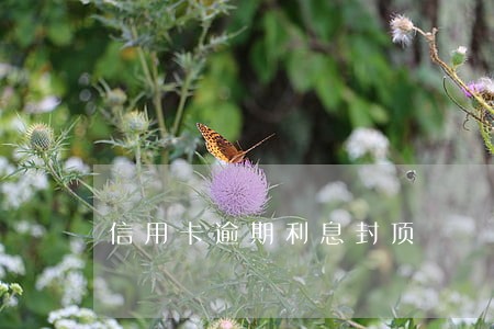 信用卡逾期利息封顶