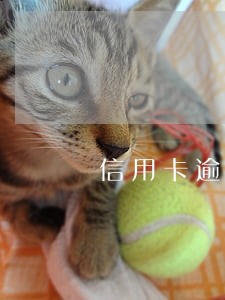 信用卡逾期利息年利率多少钱 信用卡逾期利息年利率多少钱