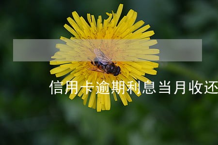 信用卡逾期利息当月收还是下月收 信用卡逾期利息当月收还是下月收