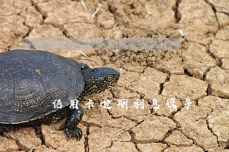 信用卡逾期利息很多 信用卡逾期利息很多