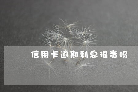 信用卡逾期利息很贵吗 信用卡逾期利息很贵吗