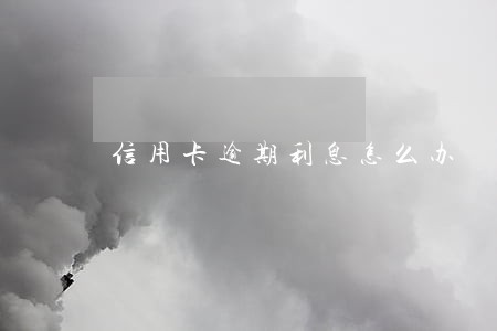 信用卡逾期利息怎么办