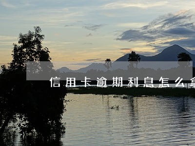 信用卡逾期利息怎么拿回来 信用卡逾期利息怎么拿回来
