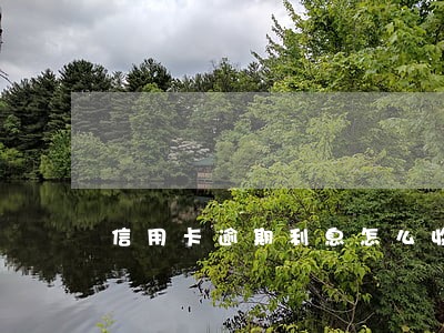 信用卡逾期利息怎么收取 信用卡逾期利息怎么收取