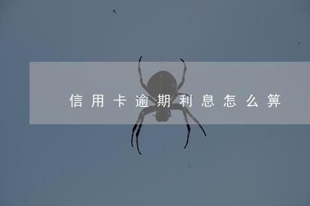 信用卡逾期利息怎么箅 信用卡逾期利息怎么箅