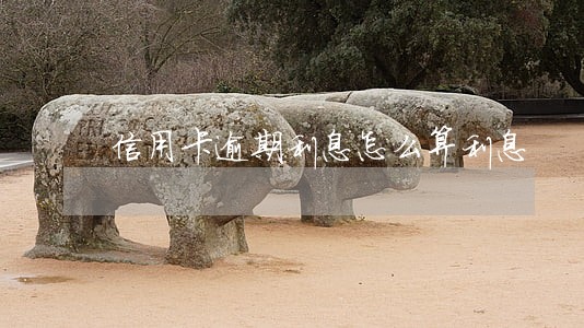 信用卡逾期利息怎么算利息 信用卡逾期利息怎么算利息