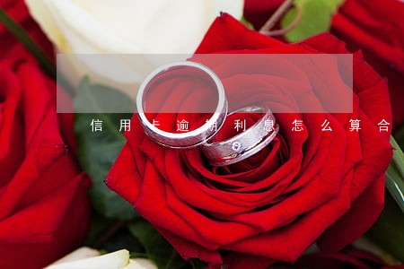 信用卡逾期利息怎么算合法 信用卡逾期利息怎么算合法