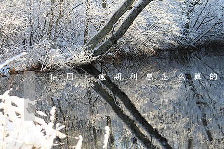 信用卡逾期利息怎么算的上限 信用卡逾期利息怎么算的上限