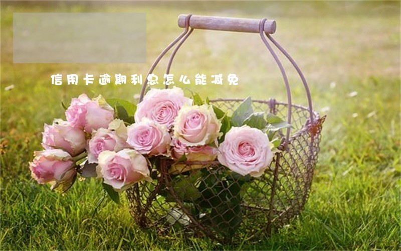 信用卡逾期利息怎么能减免