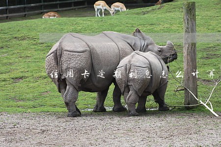 信用卡逾期利息怎么计算才合理