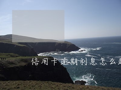 信用卡逾期利息怎么越来越高 信用卡逾期利息怎么越来越高