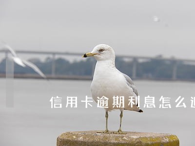 信用卡逾期利息怎么追回电话 信用卡逾期利息怎么追回电话