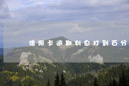 信用卡逾期利息打到百分之十