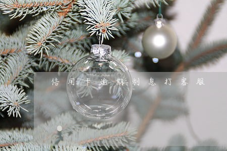 信用卡逾期利息打客服