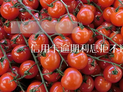 信用卡逾期利息拒不还后果