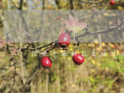 信用卡逾期利息按什么金额算 信用卡逾期利息按什么金额算