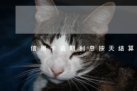 信用卡逾期利息按天结算
