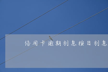 信用卡逾期利息按日利息