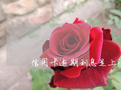 信用卡逾期利息是上浮还是50 信用卡逾期利息是上浮还是50