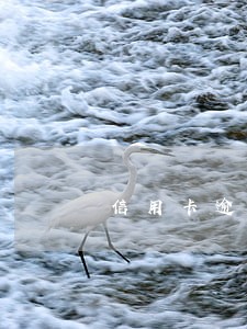 信用卡逾期利息暴增