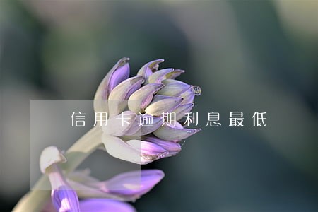信用卡逾期利息最低 信用卡逾期利息最低