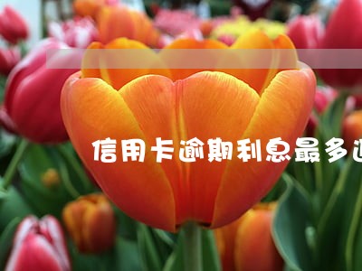 信用卡逾期利息最多返多少 信用卡逾期利息最多返多少