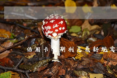 信用卡逾期利息最新规定 信用卡逾期利息最新规定