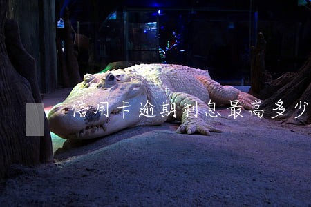 信用卡逾期利息最高多少钱 信用卡逾期利息最高多少钱