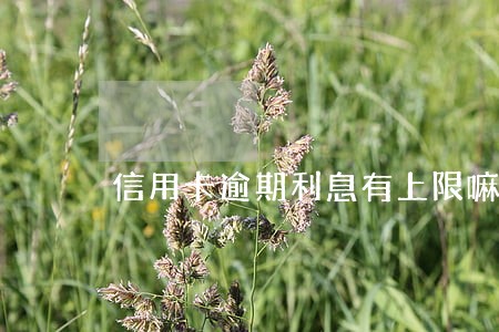 信用卡逾期利息有上限嘛 信用卡逾期利息有上限嘛