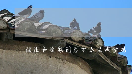 信用卡逾期利息有办法减少吗 信用卡逾期利息有办法减少吗