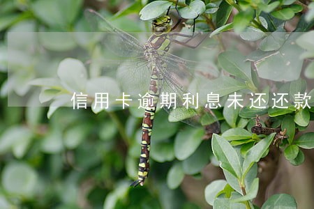信用卡逾期利息未还还款 信用卡逾期利息未还还款