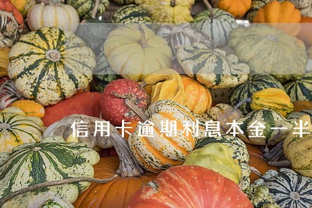 信用卡逾期利息本金一半 信用卡逾期利息本金一半