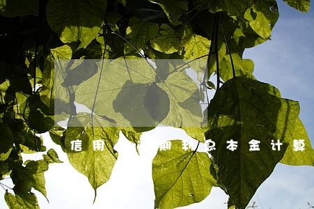 信用卡逾期利息本金计算