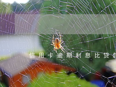 信用卡逾期利息比贷款高 信用卡逾期利息比贷款高