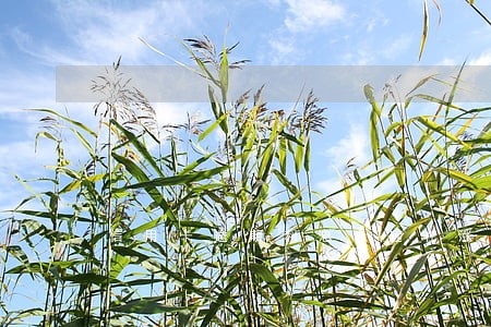 信用卡逾期利息永远在涨吗 信用卡逾期利息永远在涨吗