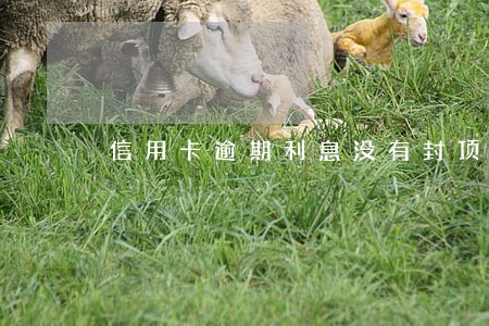 信用卡逾期利息没有封顶吗 信用卡逾期利息没有封顶吗