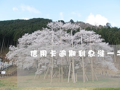 信用卡逾期利息涨一半 信用卡逾期利息涨一半