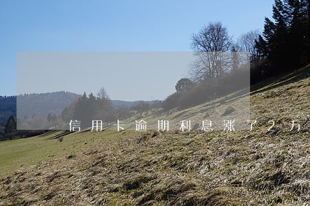 信用卡逾期利息涨了2万 信用卡逾期利息涨了2万