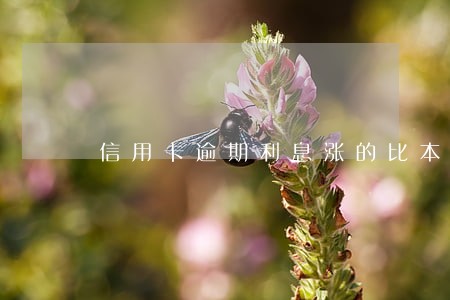 信用卡逾期利息涨的比本金还多 信用卡逾期利息涨的比本金还多