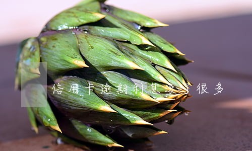 信用卡逾期利息滚了很多