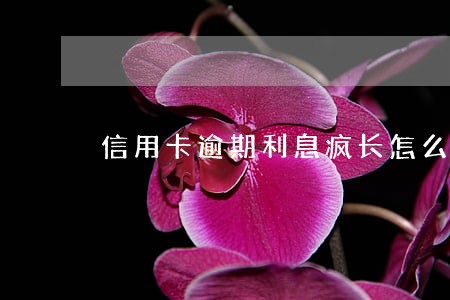 信用卡逾期利息疯长怎么办 信用卡逾期利息疯长怎么办