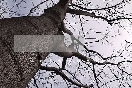 信用卡逾期利息的分录怎么做 信用卡逾期利息的分录怎么做