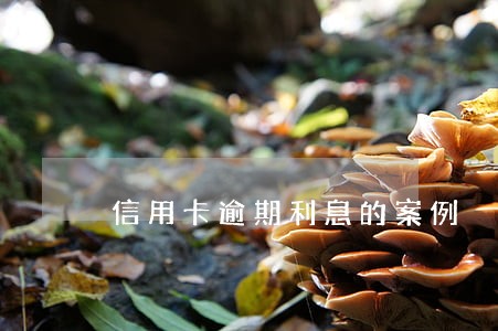 信用卡逾期利息的案例 信用卡逾期利息的案例
