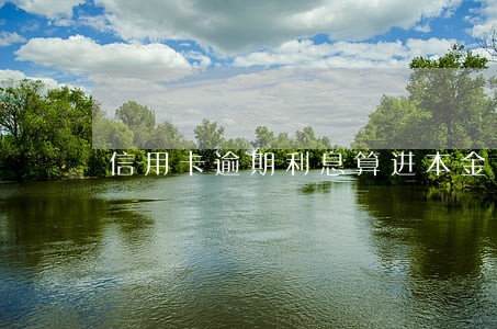 信用卡逾期利息算进本金吗