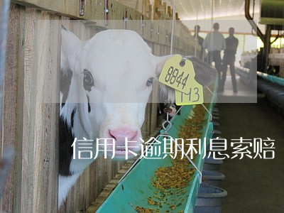 信用卡逾期利息索赔 信用卡逾期利息索赔