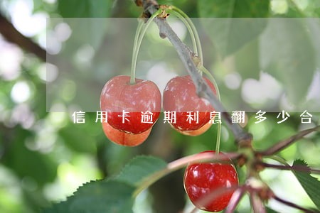 信用卡逾期利息翻多少合法 信用卡逾期利息翻多少合法