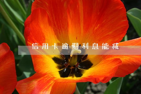 信用卡逾期利息能减 信用卡逾期利息能减